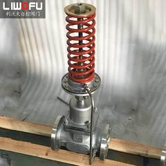 自力式压力91香蕉网站入口：自我调节，控制新趋势
